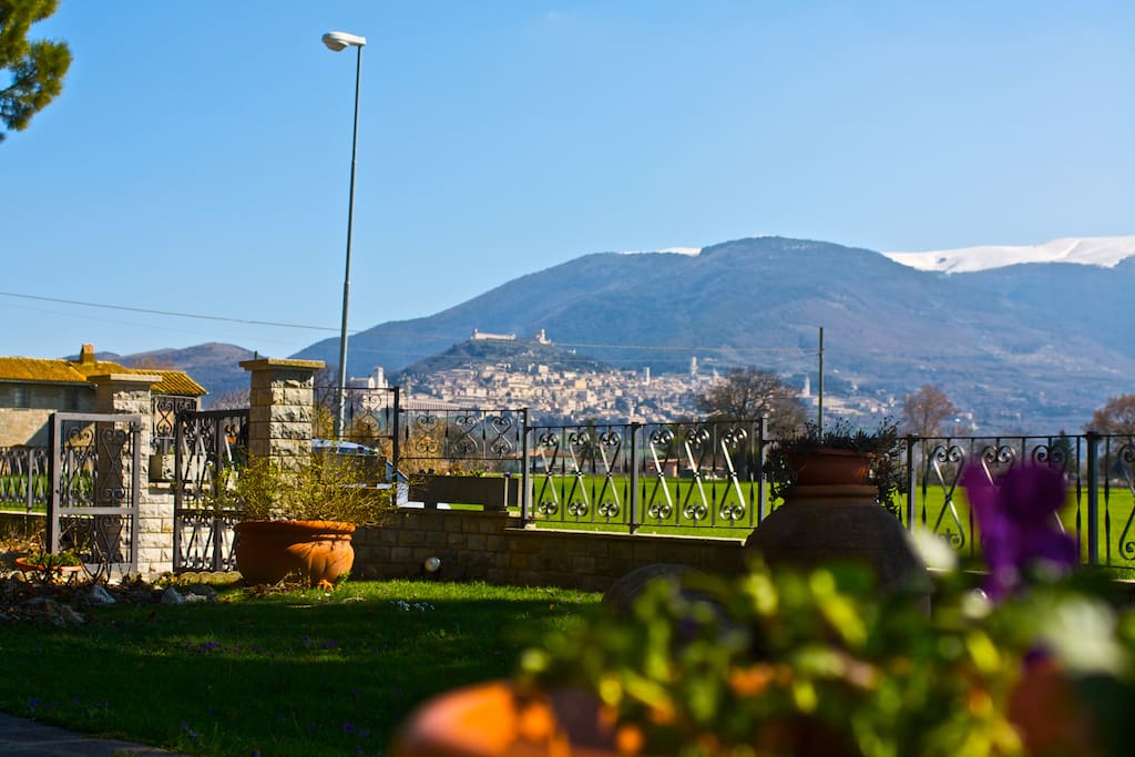 Panorama su Assisi dal nostro giardino