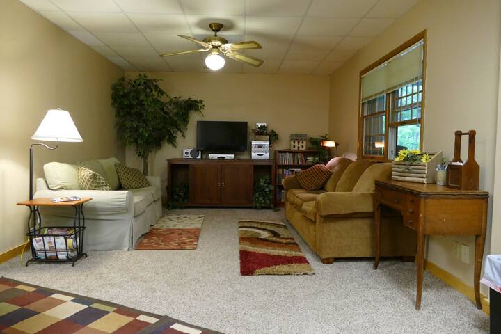 Lower Level Living Area. Walks out to covered patio.