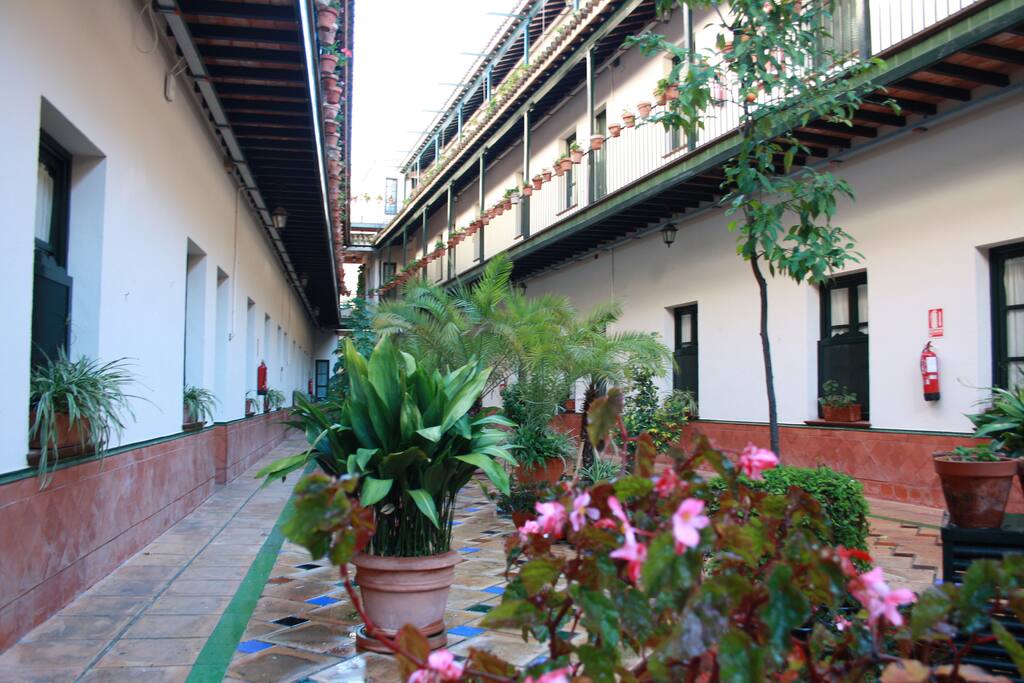 patio planta baja