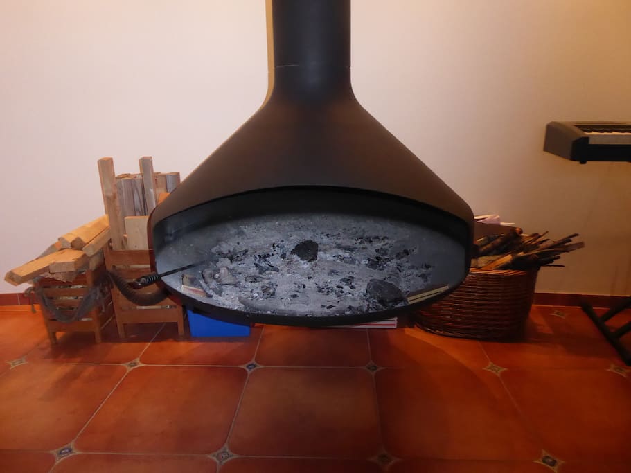 Fireplace in the living room