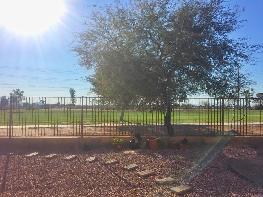 Backyard