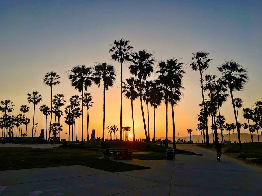 Venice Sunset
