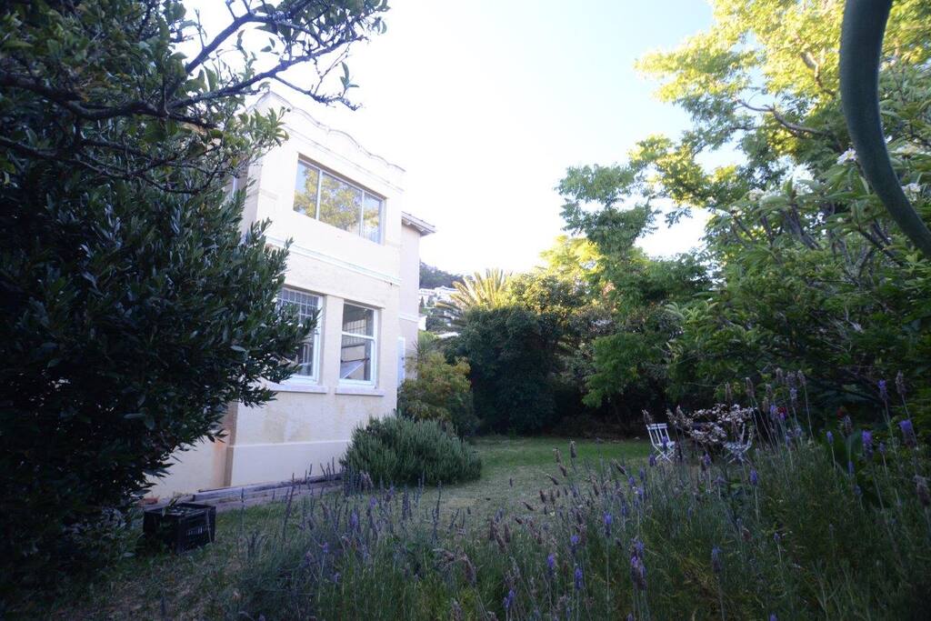 Garden view