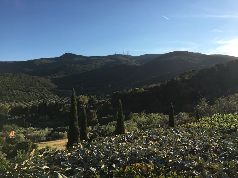 Panorama dalla casa
