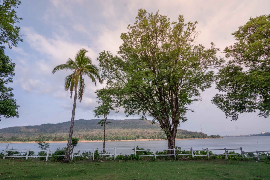 A lush green landscape features a large tree and a palm tree, both providing shade. In the background, a river flows calmly, with a distant mountain line creating a serene horizon. A white fence borders the scene, enhancing the natural setting.