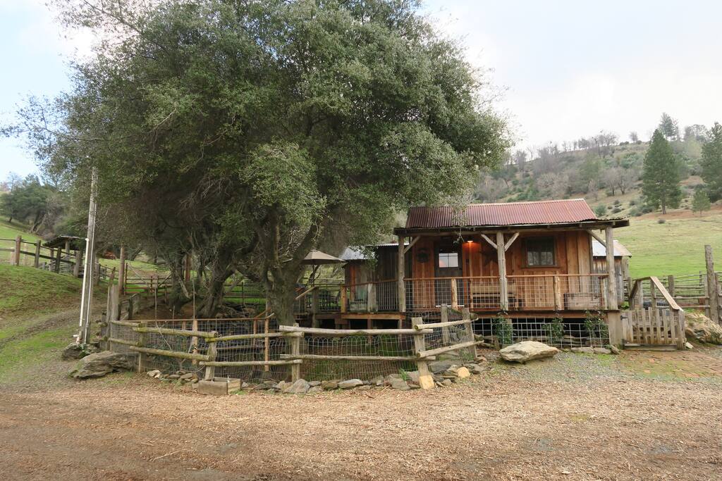 Front view of cabin.
