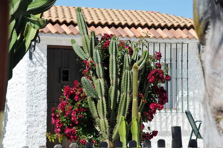 Cortijo Flamingos - Casa Roja
