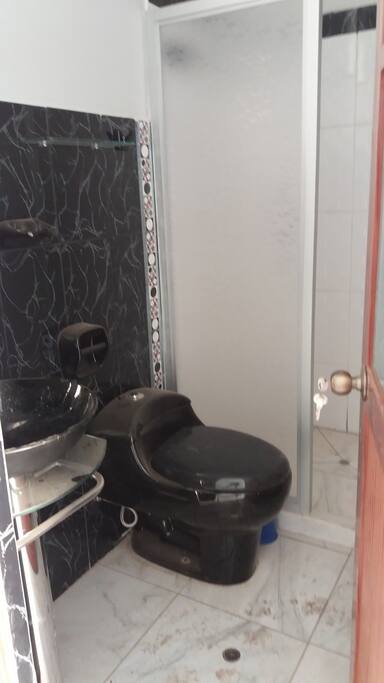 Servicios higienicos