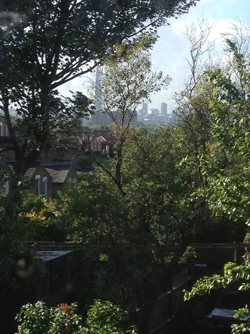 Summer leafy vew from the rear rooms looking out across local gardens and to the London skyline.