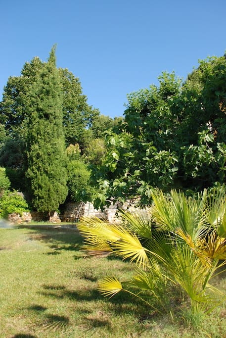 Jardin du bas où est implantée la piscine