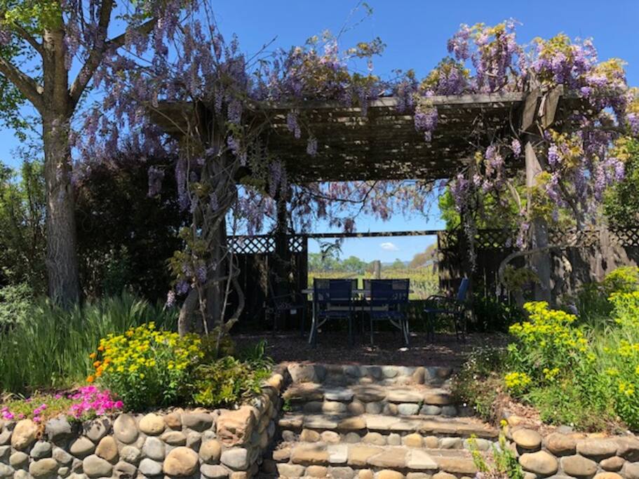 Terrace Looking Out at Vineyards