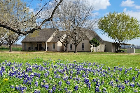 Top performing Airbnb: The Vineyard Vista-wildflowers, fire pit, Tx parks in Kingsland