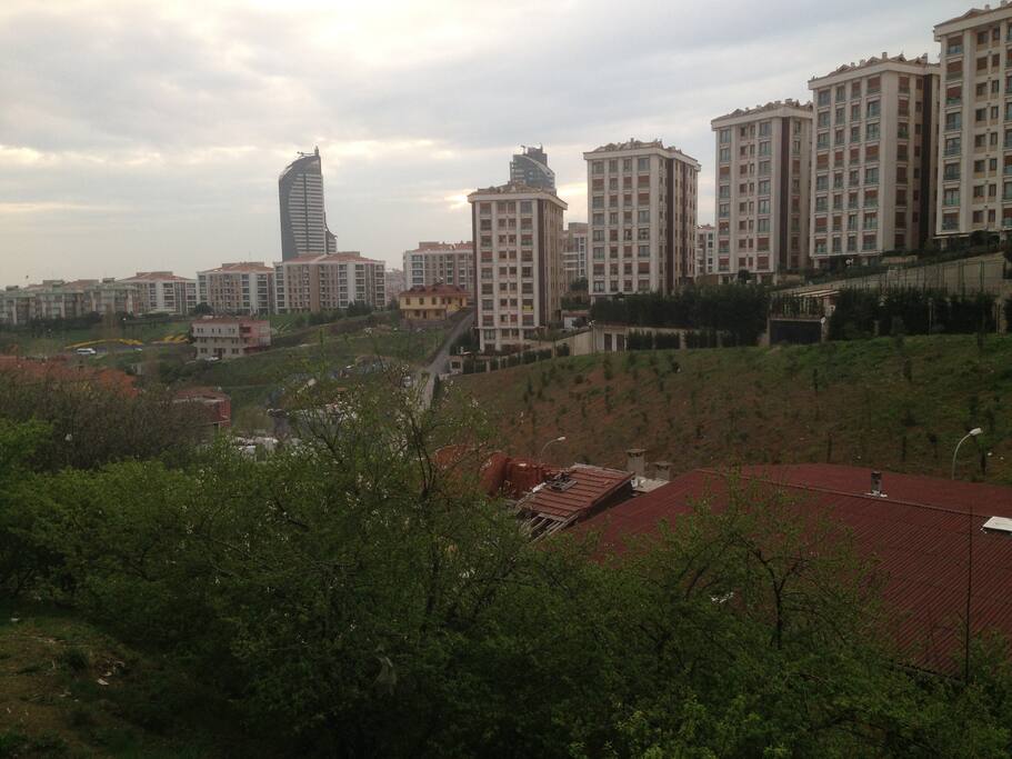 View from the room