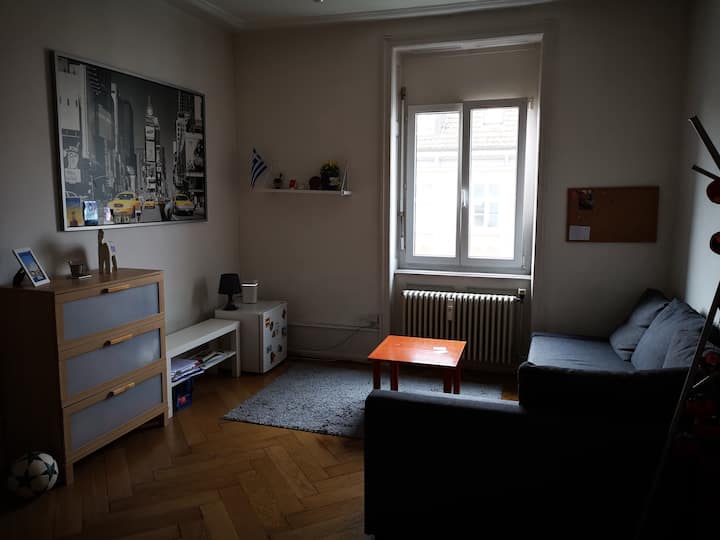 Basel Vacation Rentals & Homes Basel City, Switzerland Airbnb