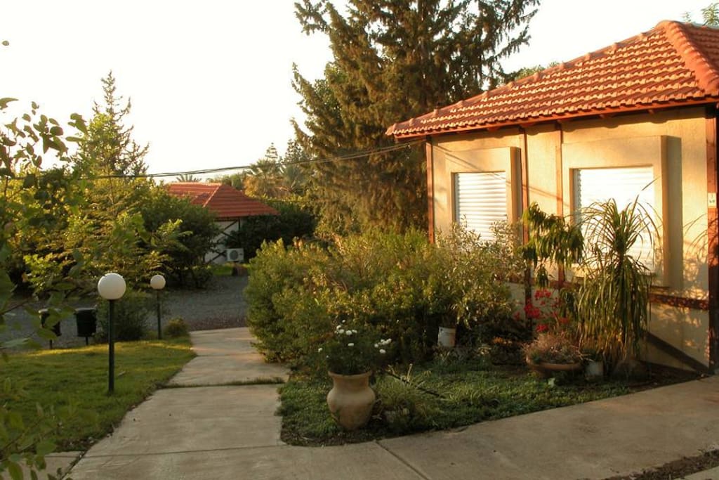 the cabin