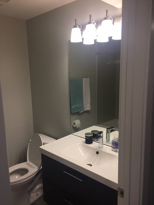 Bathroom downstairs