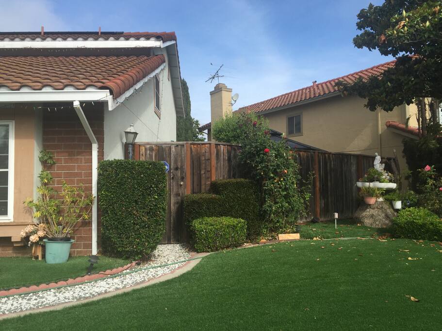 Front lawn area.