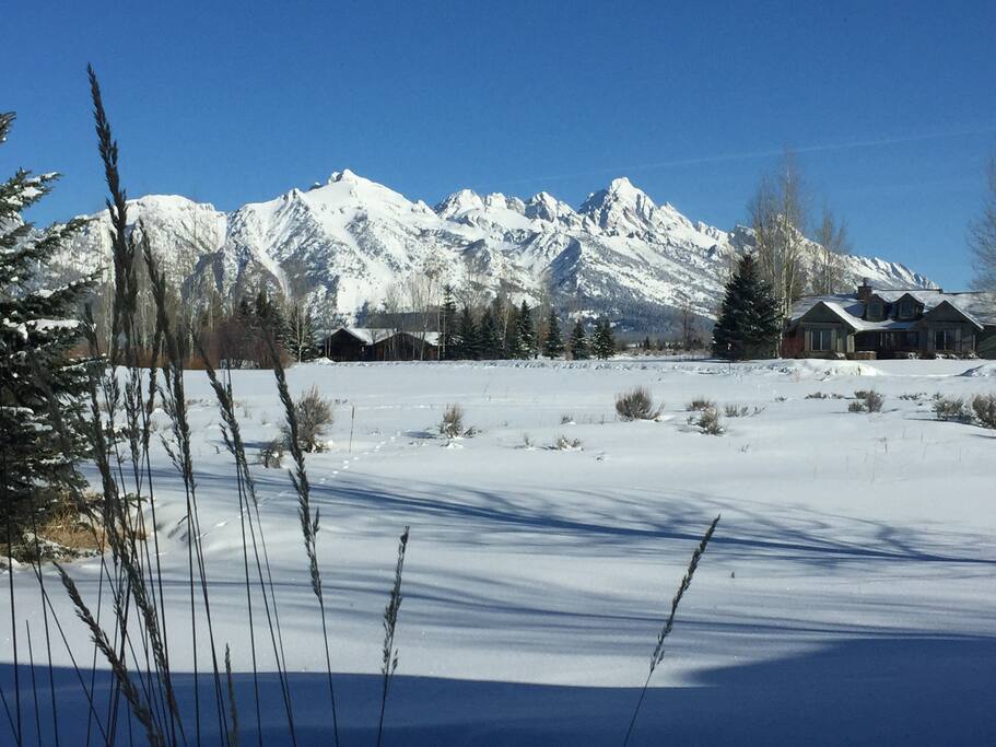 View from property