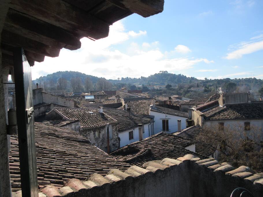 Morning view from roof terrace