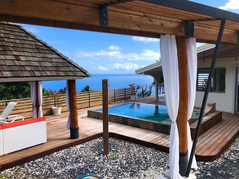 Stunning Villa with pool and an amazing ocean view