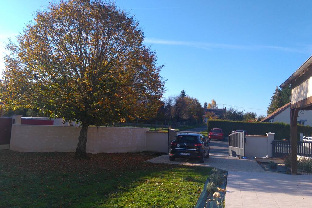 La cour