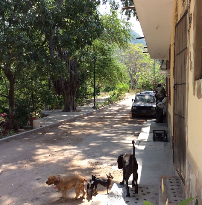 Street in Front