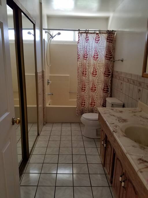 Full size bathroom with a large closet