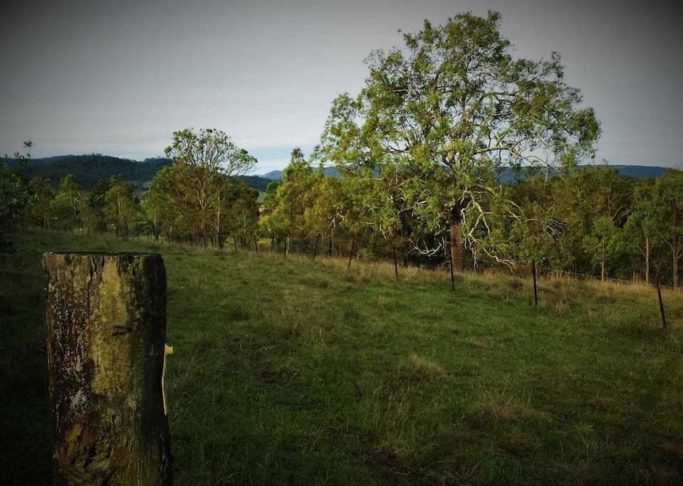 Go for a country walk and enjoy the beautiful natural scenery.