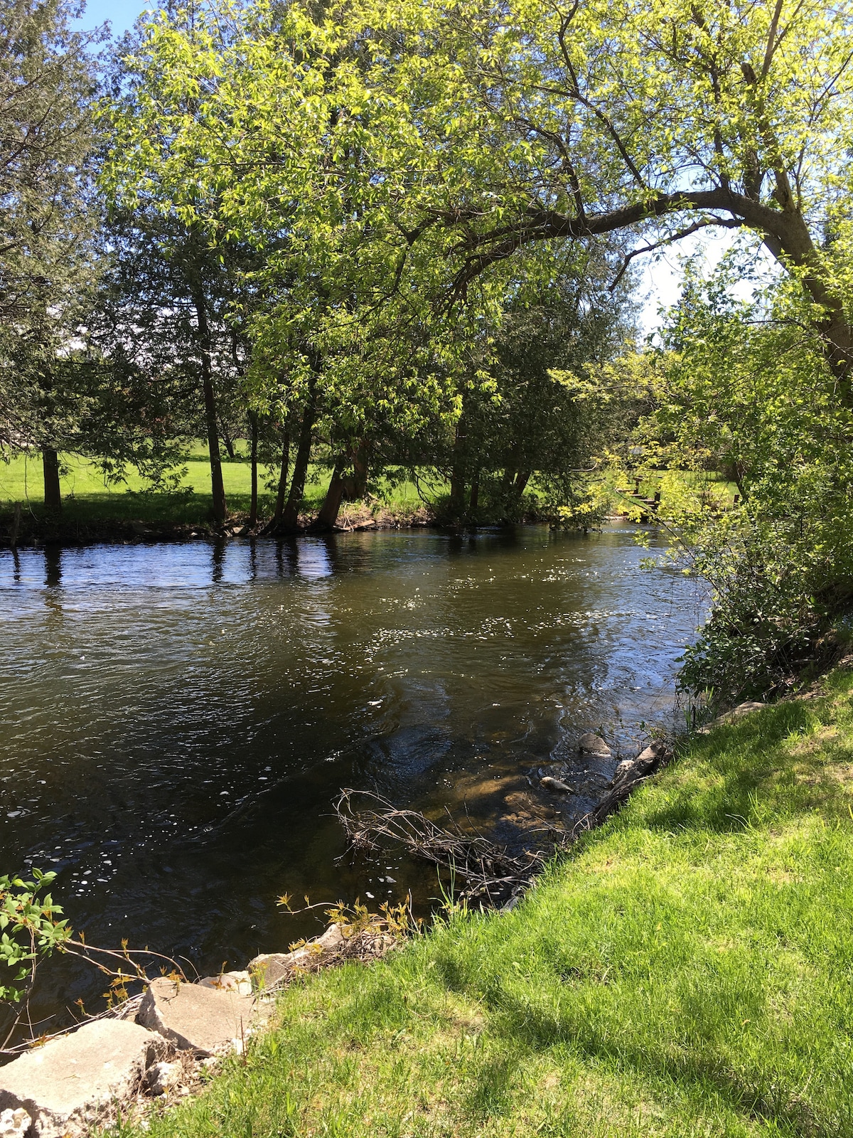 A serene view of Intermediate River can be seen, bordered by lush greenery and trees. The water gently flows alongside a grassy bank, reflecting dappled sunlight. A sense of tranquility is conveyed through the natural setting, offering a peaceful retreat atmosphere.