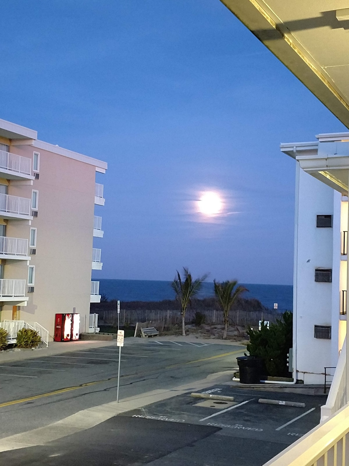 A tranquil evening scene showcases a bright moon illuminating the ocean horizon, framed by the beige-colored buildings. Palm trees are visible in the foreground, and a faint path leads toward the beach. The bluish sky hints at twilight, enhancing the serene atmosphere.