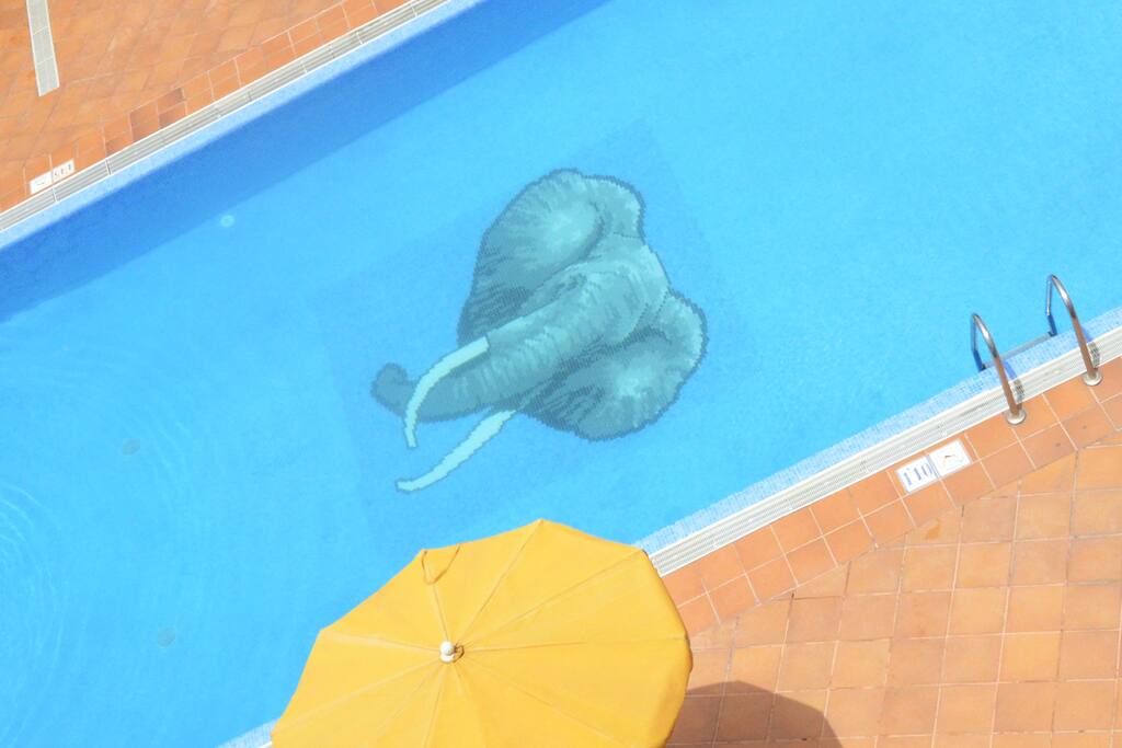 Complex Swimming Pool