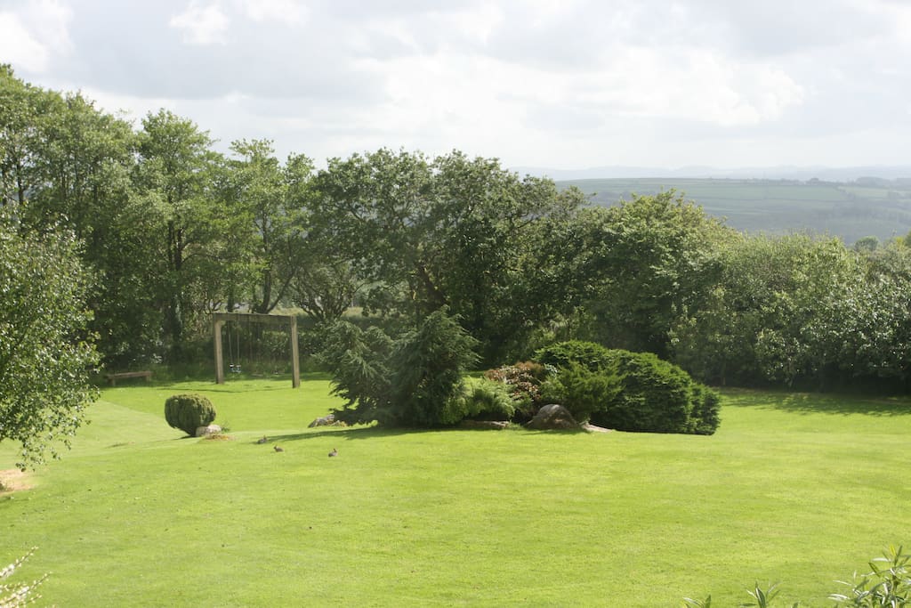 View of the garden
