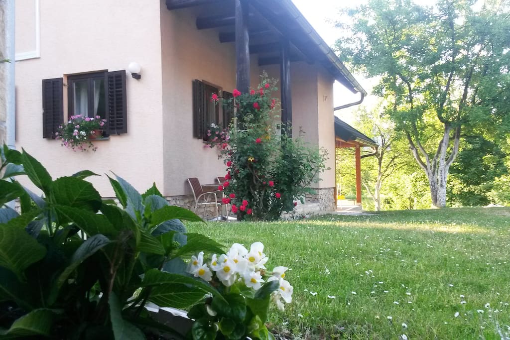 LITTLE HOUSE FRONT SIDE YARD