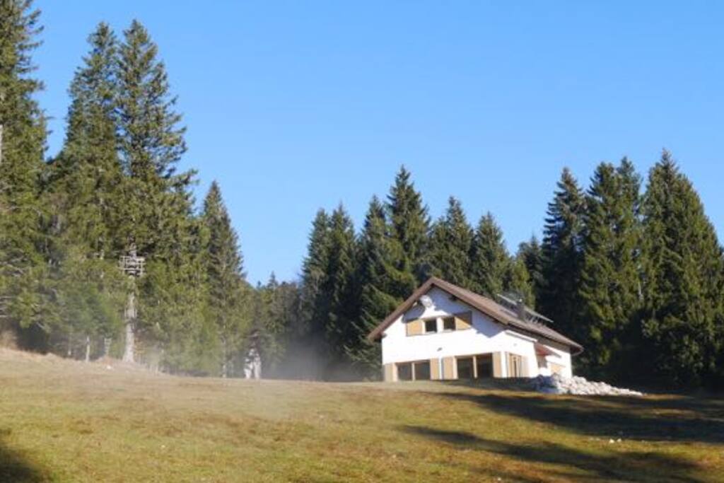 The house