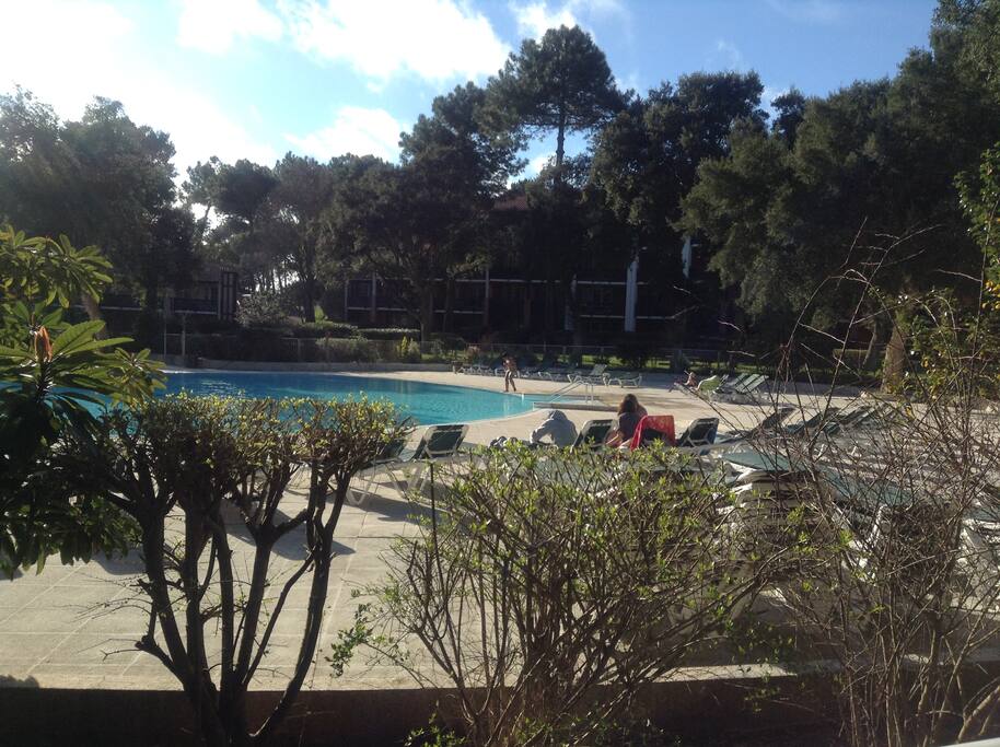 piscine vue du balcon