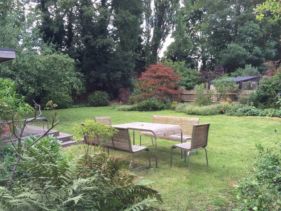 113ft garden