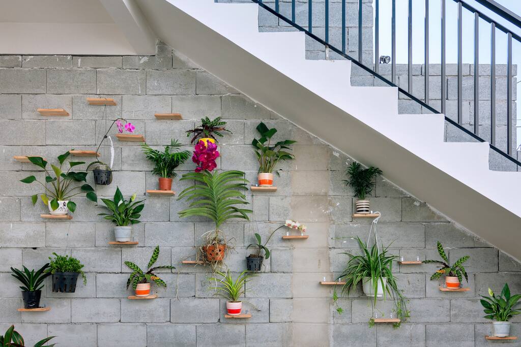 hoa nhá» dÆ°á»i cáº§u thang