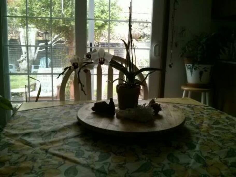 At the dining room table.