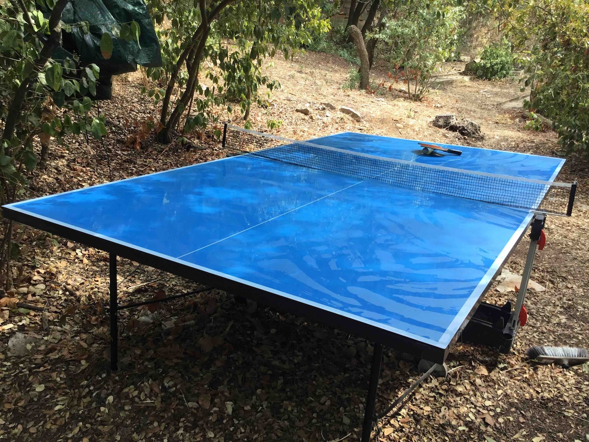 A blue ping pong table is set up outdoors amidst a natural landscape, surrounded by greenery and scattered leaves. Its smooth surface reflects the surrounding environment, providing a recreational option in a serene outdoor space.