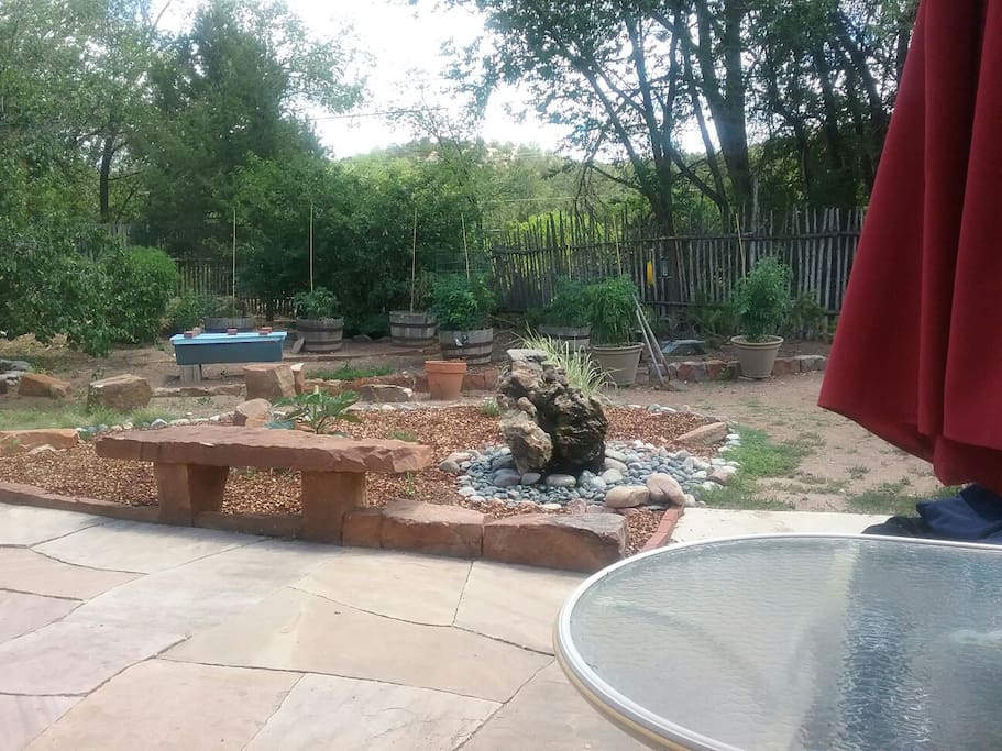 Backyard in July
