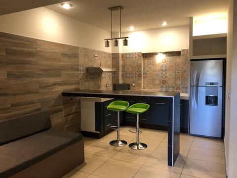 Apartment/Loft A in downtown Linares