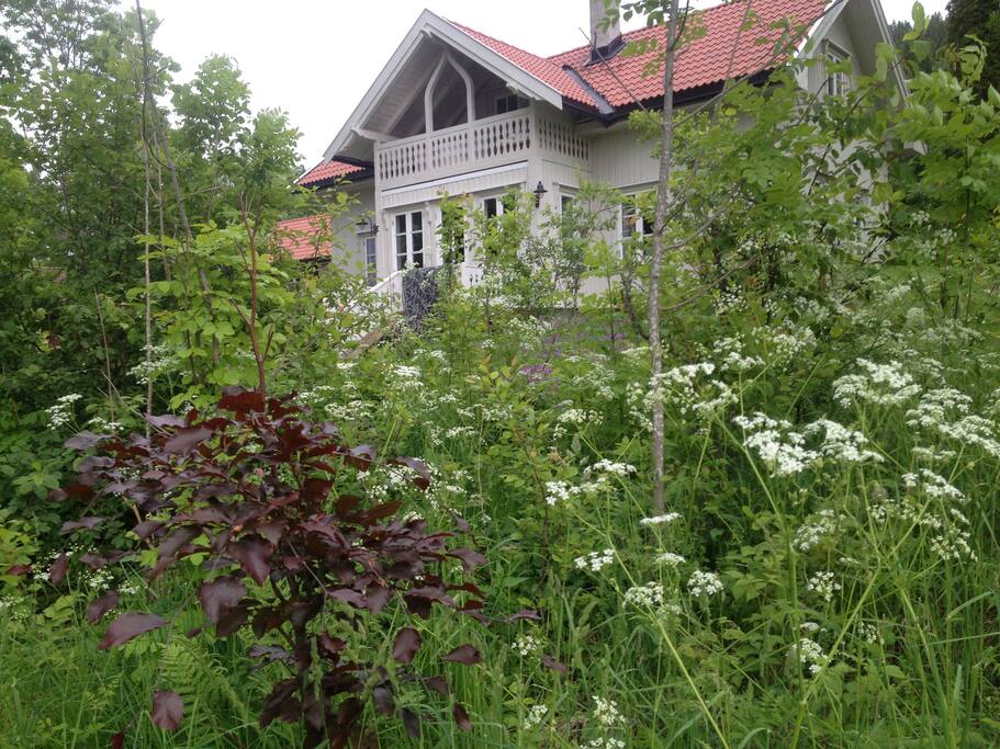 The house