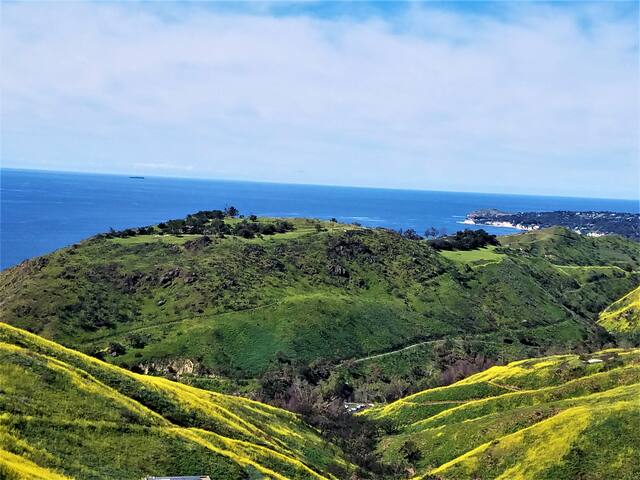 Sweeping Oc Vus-Cleaning Policy- Social Distancing gallery image 3