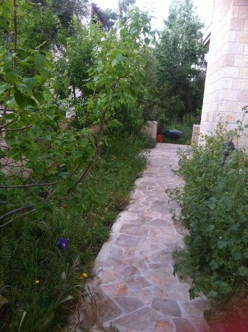 Path from front gate to stairwell, elevator & back garden