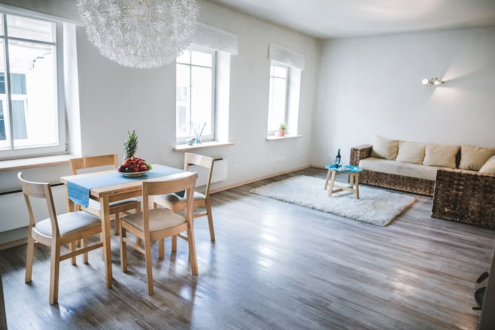 Vilnius oldtown central apartment, Since 1875