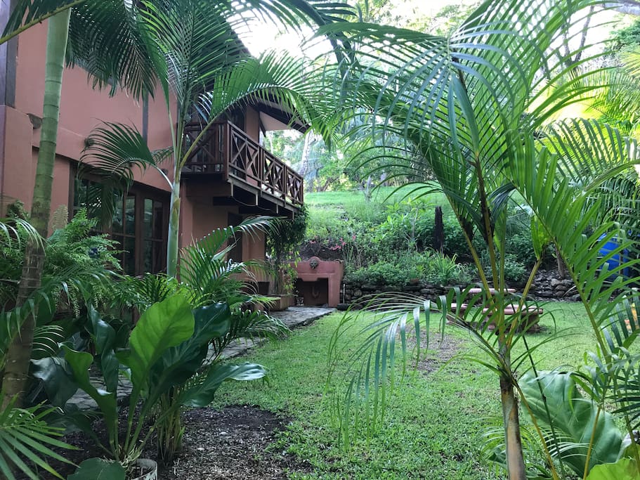 Garden and side of house.
