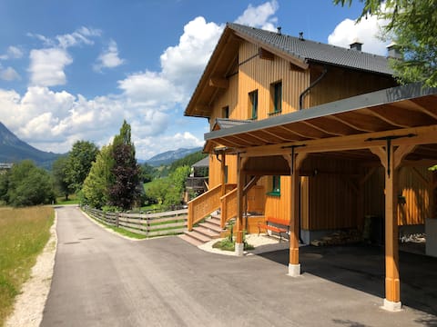 Ausseer chalet, near Hallstatt, apartments,App.1