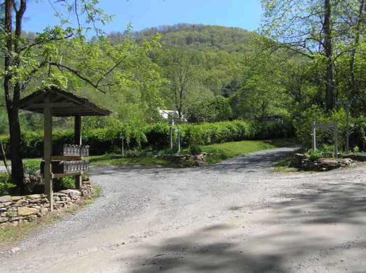 Peaceful log cabin near Asheville Cabins for Rent in Weaverville