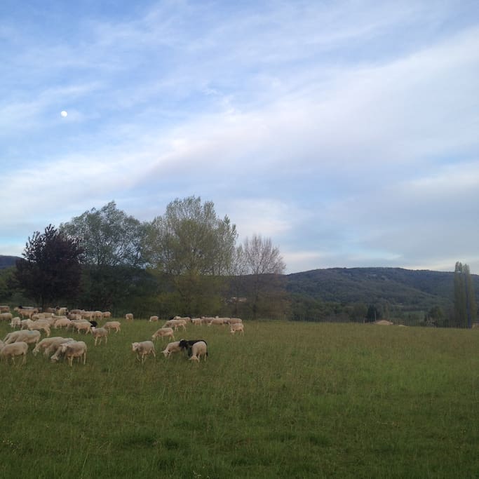View from the garden...(sheep not always included!). In the garden there is a fire-pit for summer BBQ's, tables and chairs. You are welcome to use the garden.