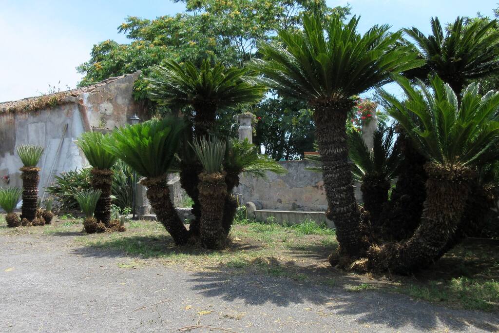 spazi comuni